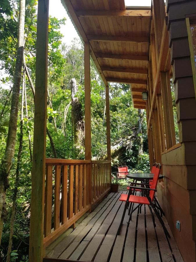 Finca Terra Viva Monteverde Екстериор снимка