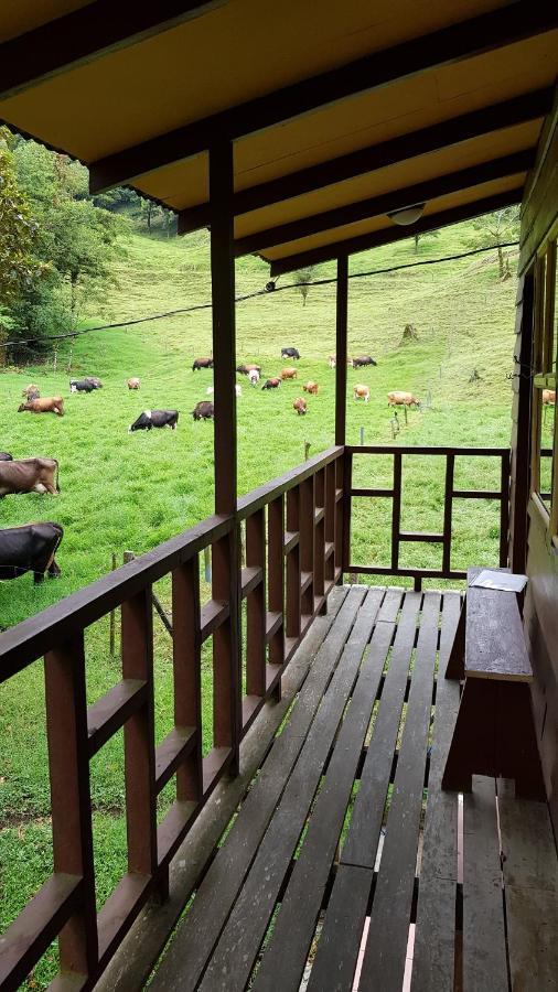 Finca Terra Viva Monteverde Екстериор снимка