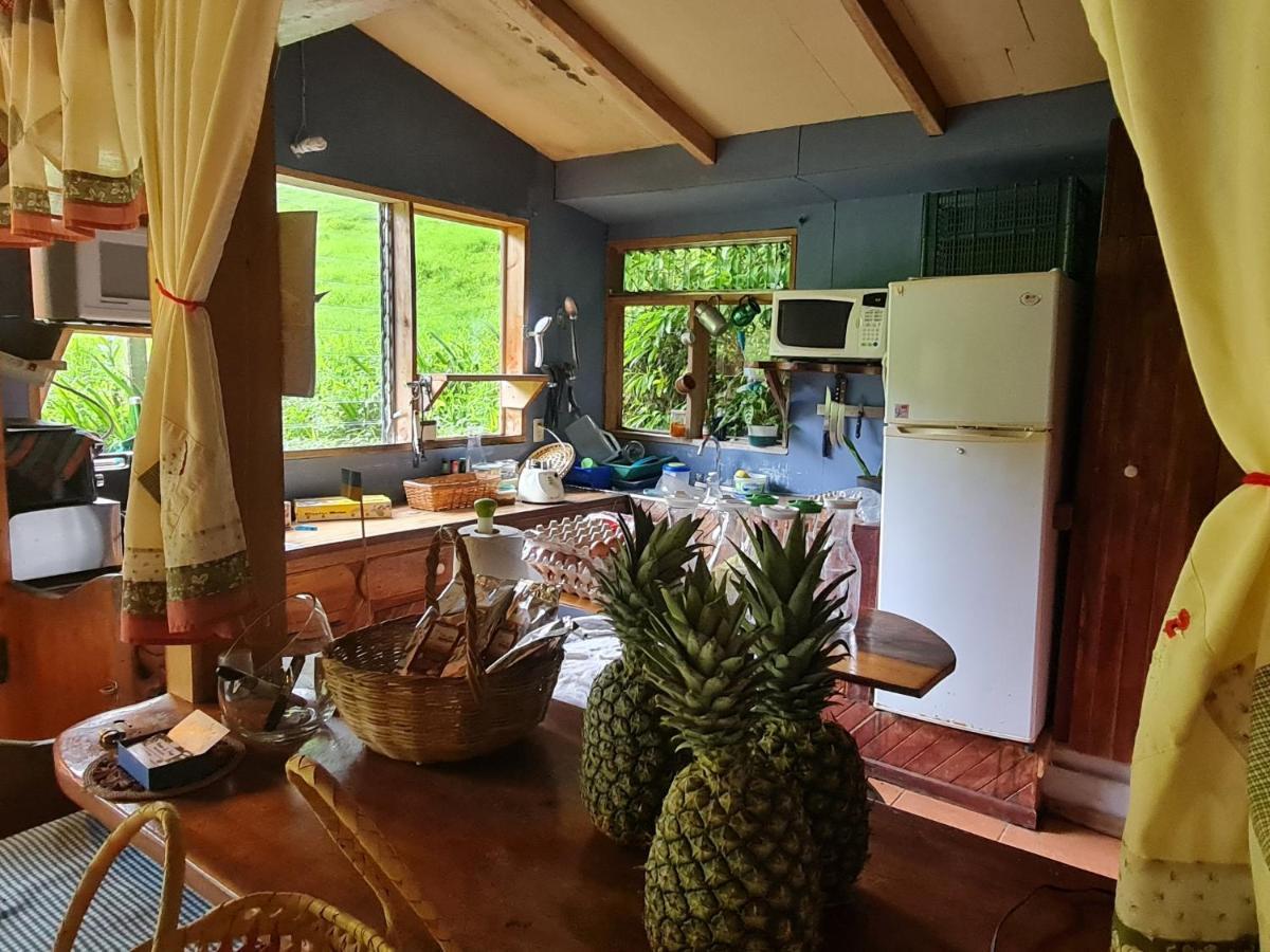 Finca Terra Viva Monteverde Екстериор снимка