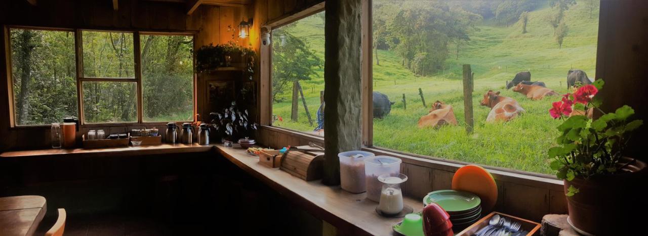 Finca Terra Viva Monteverde Екстериор снимка