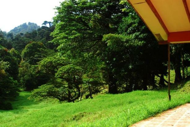 Finca Terra Viva Monteverde Екстериор снимка