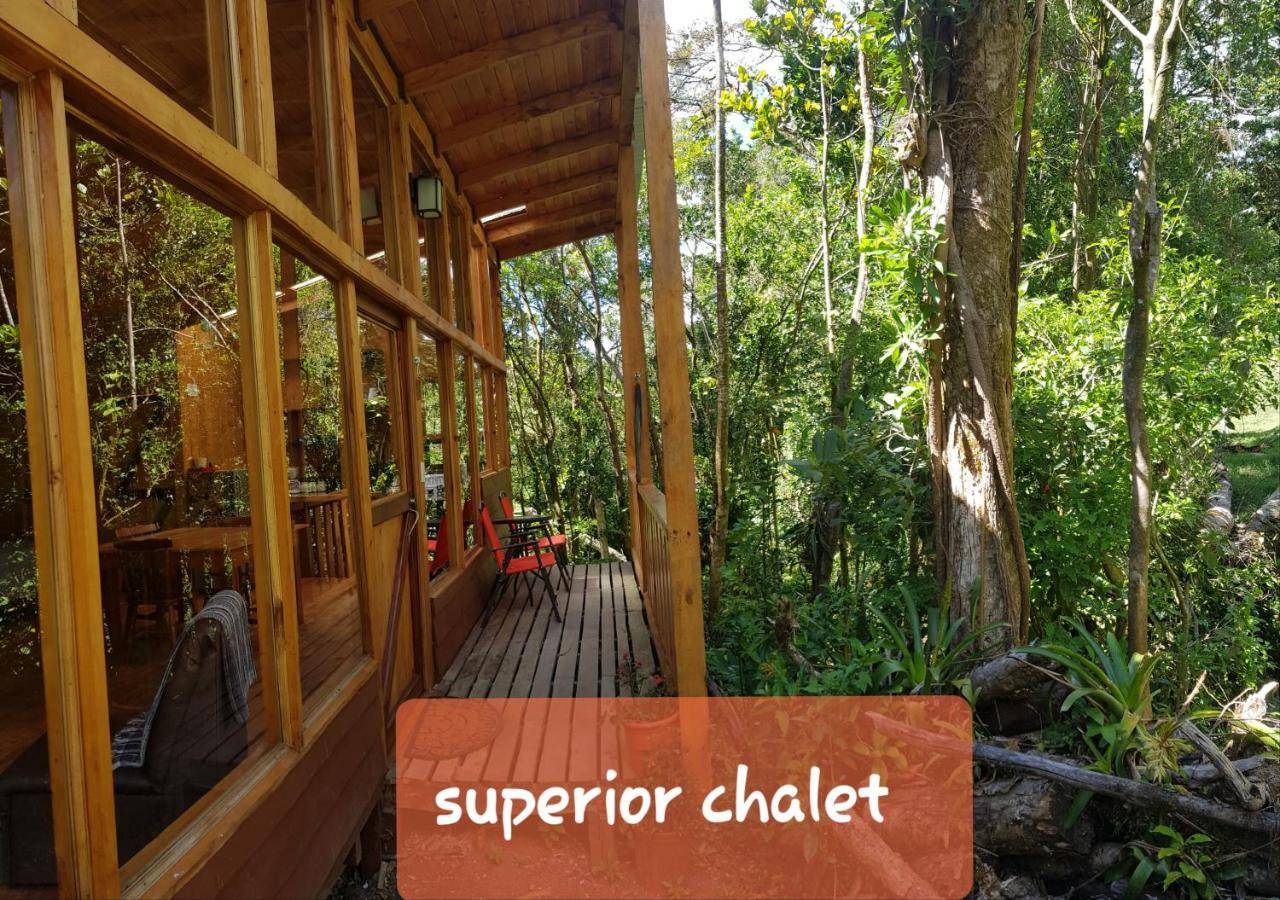 Finca Terra Viva Monteverde Екстериор снимка